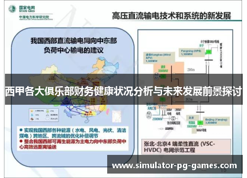 西甲各大俱乐部财务健康状况分析与未来发展前景探讨