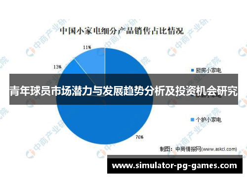 青年球员市场潜力与发展趋势分析及投资机会研究